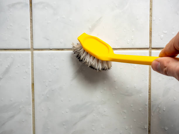 Best Commercial Mold Remediation in Spokane Valley, WA